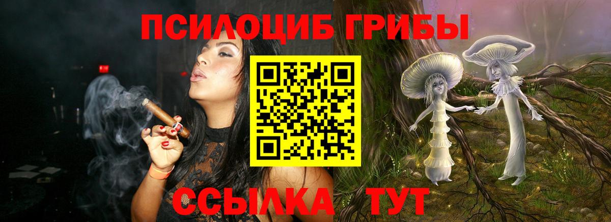 Псилоцибиновые грибы MAGIC MUSHROOMS  Вход с VPN  Соль-Илецк 